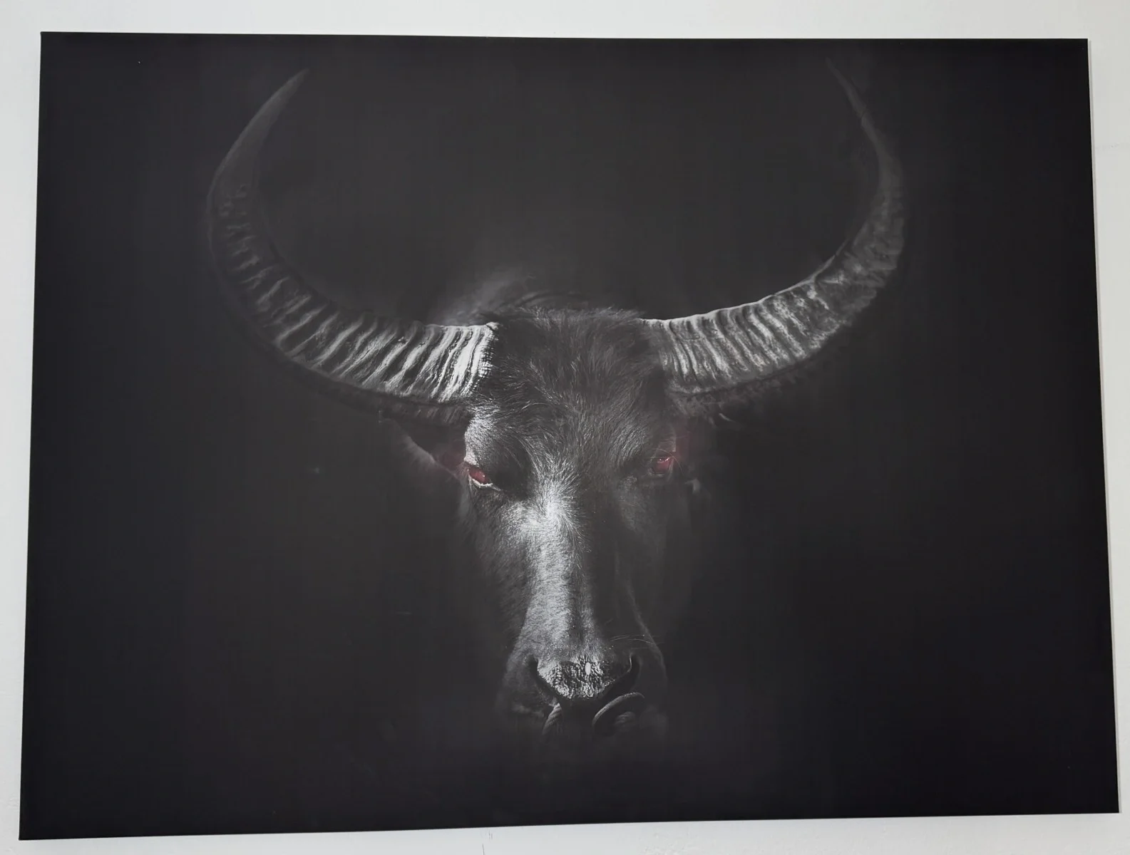 großes Keilrahmenbild zeigt einen Stierkopf in Schwarz-Weiß mit markanten roten Augen, 135x100 cm