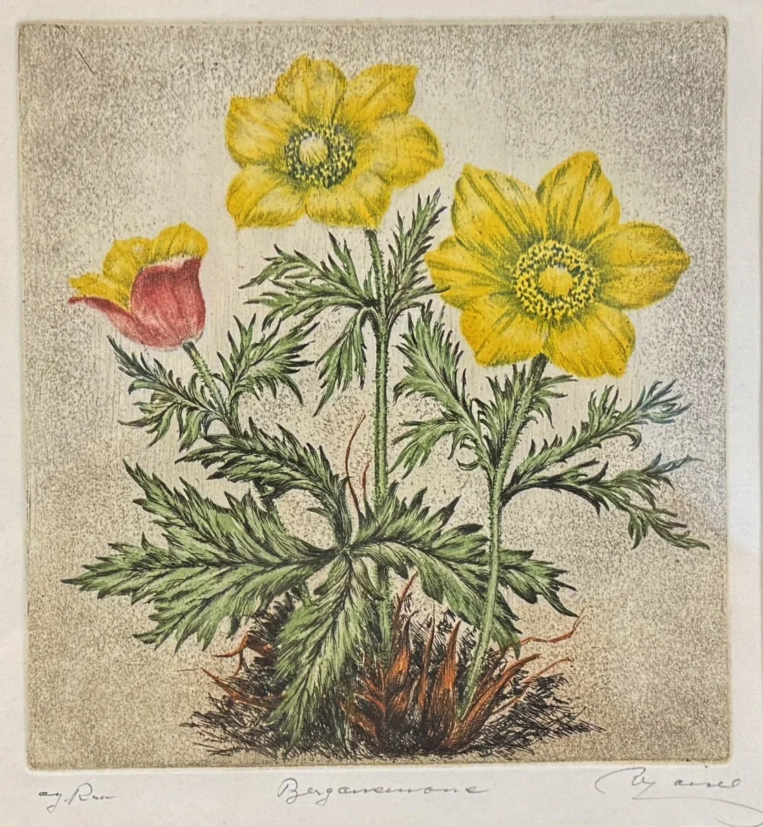 Wilhelm Loisel (geb. 1914 Radsberg/Kärnten, Ausbildung an der Wiener Akademie unter Larwin und Fahringer), "Bergamone", Farbradierung, signiert, Bildmaß: 18x20 cm, verglast, gerahmt, Gesamtmaß: 30x34 cm