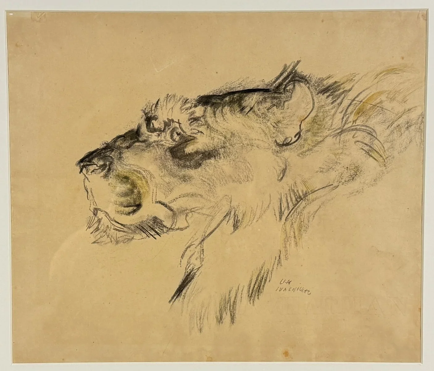 Ludwig Heinrich Jungnickel (Wunsiedel 1881-1965 Wien), "Kopf eines Löwen", Aquarell-Kohle, Schätzpreis: € 1.000 - 2.000, signiert L.H. Jungnickel , Bildmaß: 40x34 cm, verglast, gerahmt, Gesamtmaß: 60x54 cm