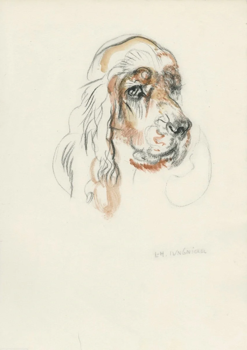 Ludwig Heinrich Jungnickel (Wunsiedel 1881-1965 Wien), "Spaniel", Aquarell und Kohle, Signiert L. H. Jungnickel, Schätzpreis: € 500 - 1.000, Bildmaß: 23x32 cm, verglast, gerahmt, Gesamtmaß: 32x41 cm