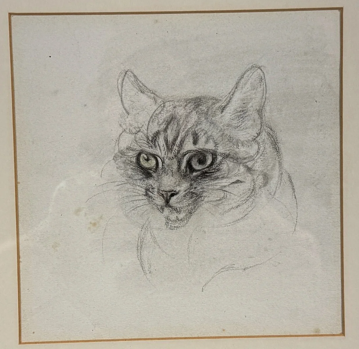 Ludwig Heinrich Jungnickel (Wunsiedel 1881-1965 Wien), "Katzenportrait", Kohle-Kreide, Schätzpreis: € 400 - 800, Nachlassstempel, Bildmaß: 21,5x22 cm, verglast, gerahmt, Gesamtmaß: 55x40 cm