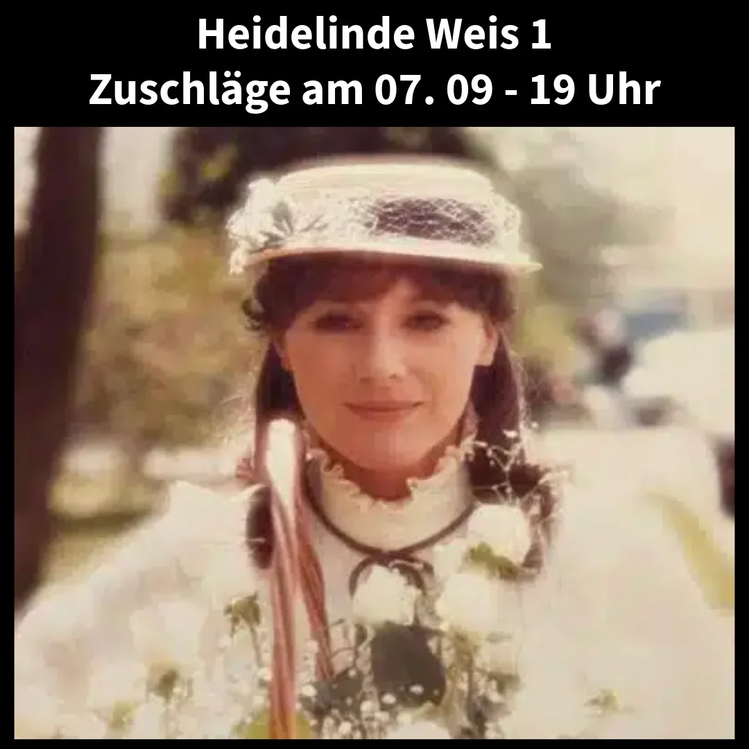 Heidelind Weis Auktion - Kleine Zeitung